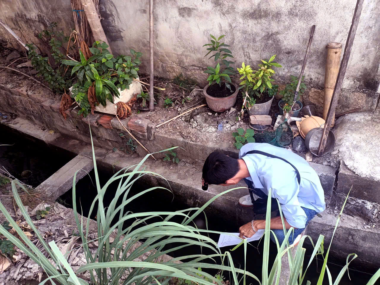 Tăng cường phòng chống sốt xuất huyết tháng 12/2025